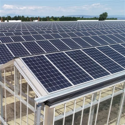 Landwirtschaft Photovoltaik Solar Glas Gewächshaus