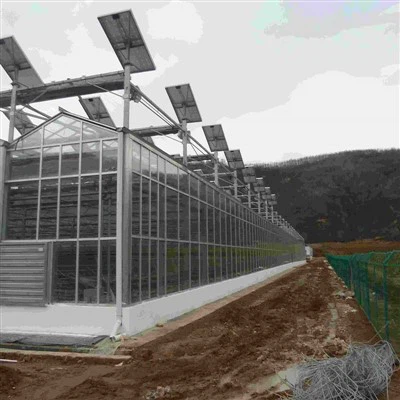 Solar Pv Greenhouse