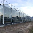 China Venlo Glass Gewächshaus für den Nahen Osten