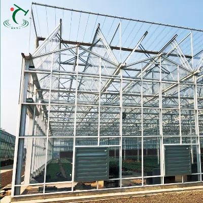 Venlo Glass Greenhouse For Agriculture