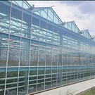 Landwirtschaftliches Glas Gewächshaus