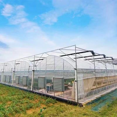 China Tunnel Film Greenhouse For Russia